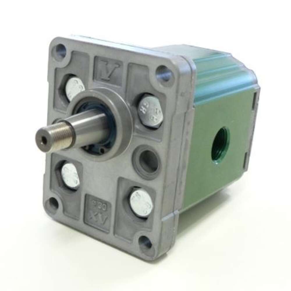Гідромотори шестеренні XV-1 (Ø25.4 FLANGE – BSPP ports)