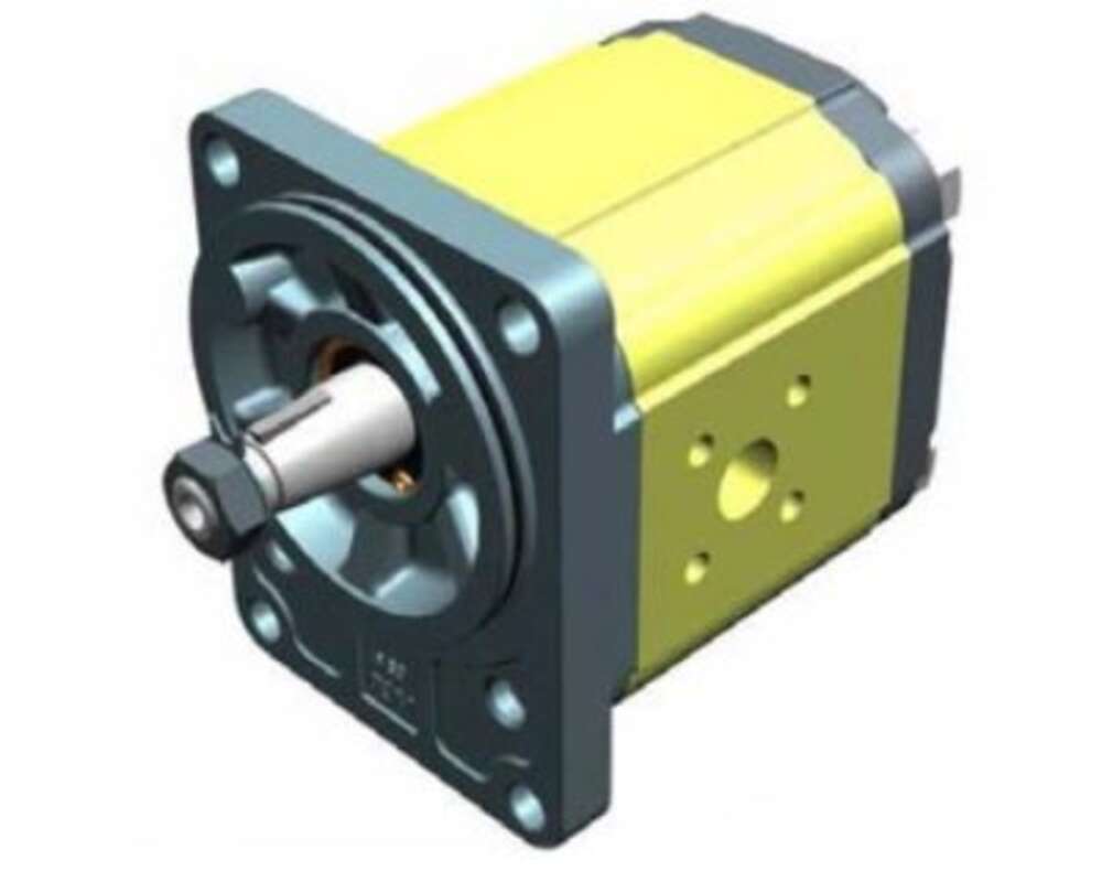 XV-2 Gear Pumps (Ø80 Standard German FLANGE)