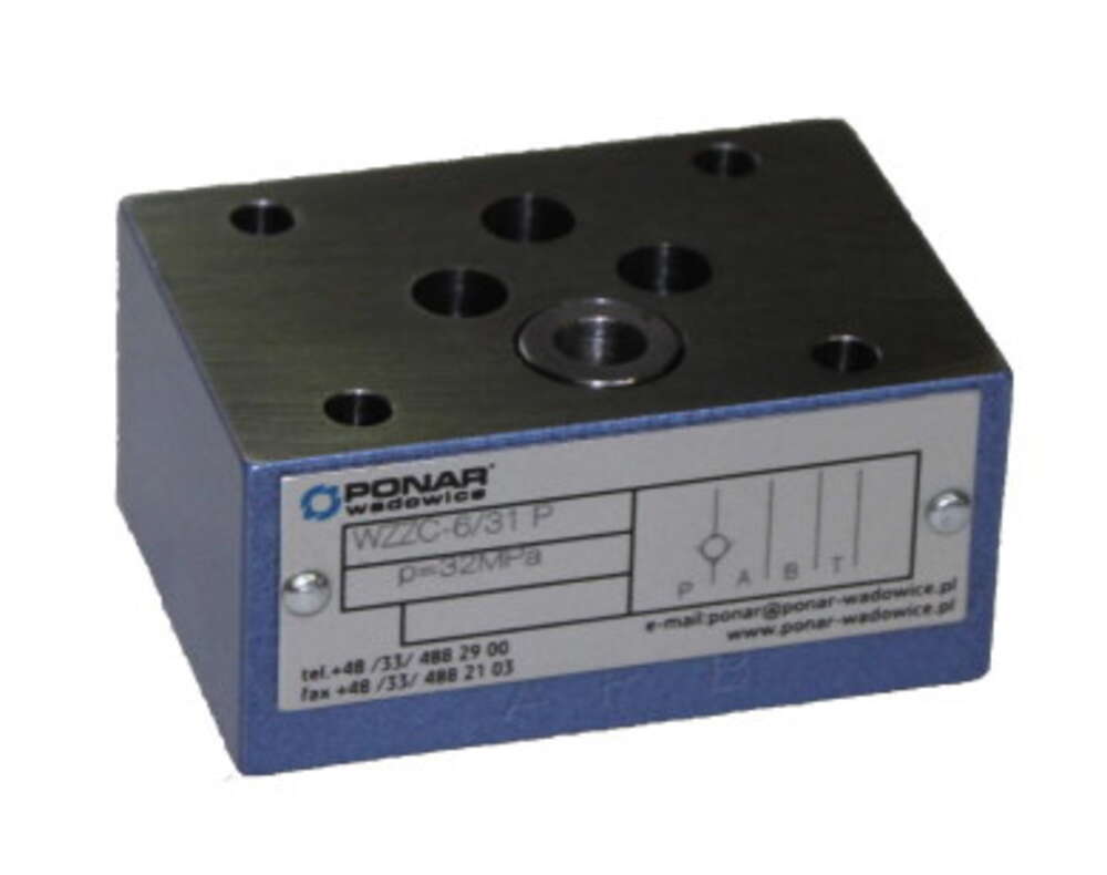 Check valves WZZC6