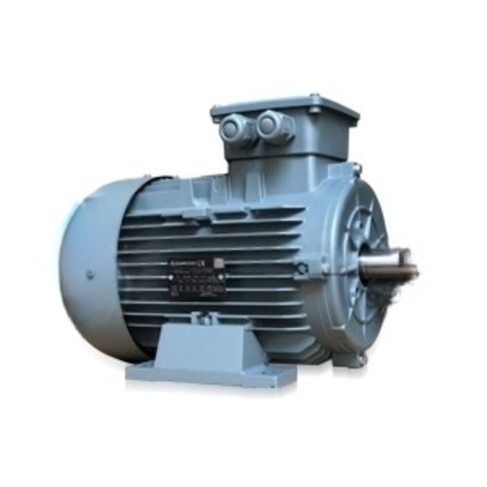 Three-Phase Asynchronous Electric Motors V Series