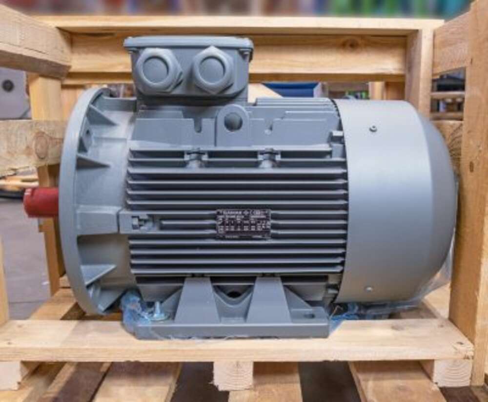 Електродвигун AGM3EL 160 M 4A 11,000 KW 1500 400V D/690V Y 50HZ, 460V D B35