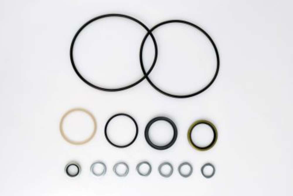 Ремкомплект BPBS1 SEAL KITS