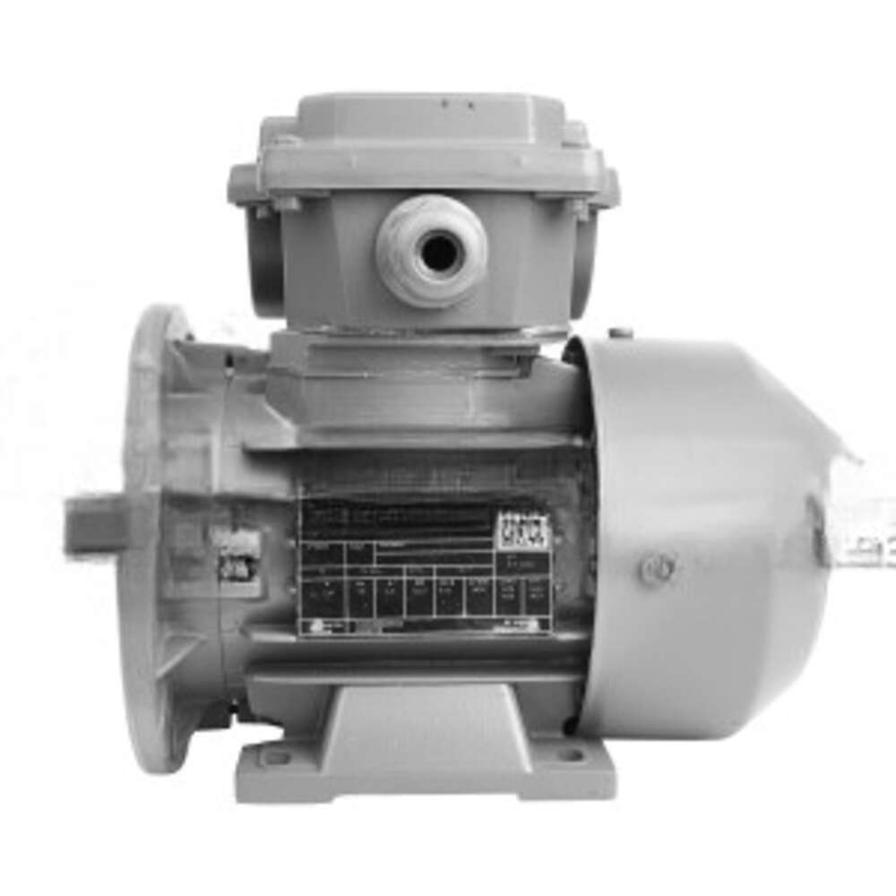 Single-Phase Asynchronous Electric Motors D Series
