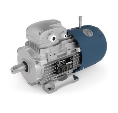 Електродвигун AGM3EL 180 L 4B 22,000 KW 1500 400V D/690V Y 50HZ, 460V D B35