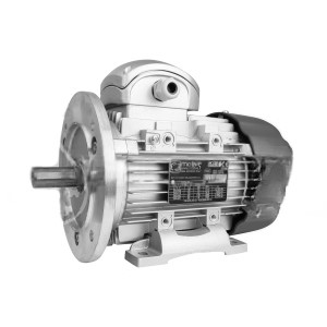 Three-Phase Induction Motors DELPHI