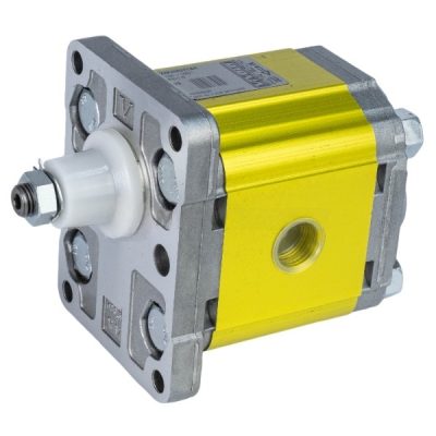 Gear pumps XV-2 (Ø36.5 FLANGE - BSPP ports)