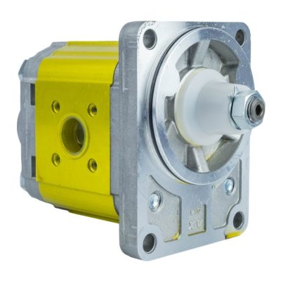 Gear Pumps XV-2 (Ø80 Standard German FLANGE)