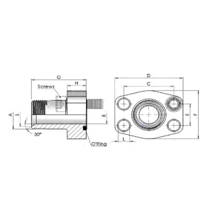 Flange Adapters