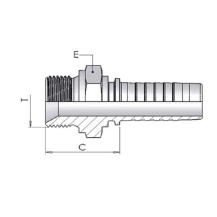 BSP Fittings
